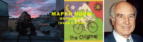 шишки Алзамай