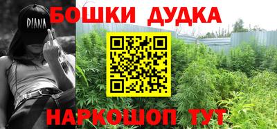 дживик Кингисепп