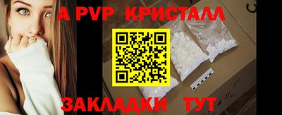 дживик Кингисепп