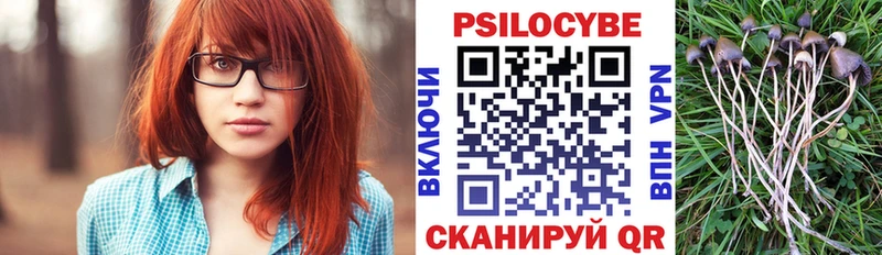 Псилоцибиновые грибы прущие грибы  ОМГ ОМГ ссылки  Сочи 