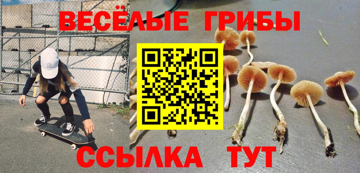 Сочи  Псилоцибиновые грибы MAGIC MUSHROOMS  Вход с VPN 